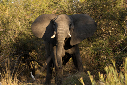 Lake Manyara