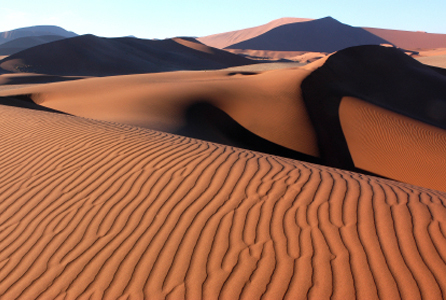 Namibian Desert