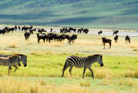 Serengeti National Park