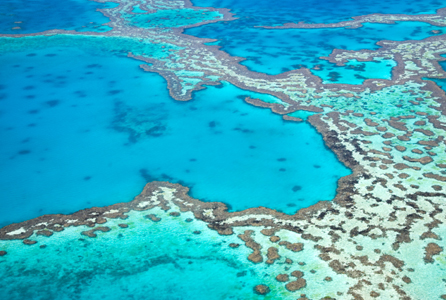 Great Barrier Reef