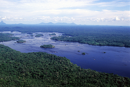 Amazon Rainforest